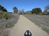 Enlarge photo 17