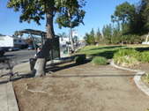 Moorpark Park