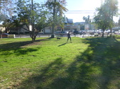 Enlarge photo 13