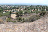 Pallisades Park
