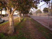 Enlarge photo 3