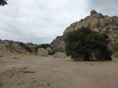 Enlarge photo 23