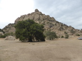 Enlarge photo 24