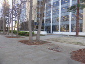 Enlarge photo 17