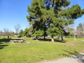Enlarge photo 18