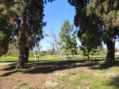 Enlarge photo 21