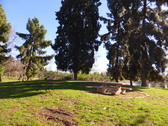 Enlarge photo 24