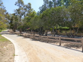 Enlarge photo 22