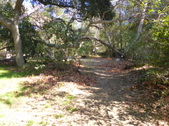 Enlarge photo 14