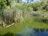 Enlarge photo 12