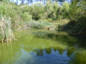 Enlarge photo 13