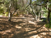 Enlarge photo 17