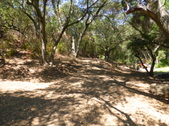 Enlarge photo 18