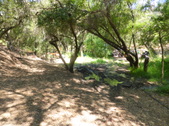 Enlarge photo 21