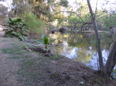 Enlarge photo 11