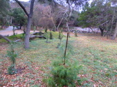 Enlarge photo 2