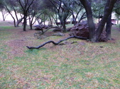 Enlarge photo 22