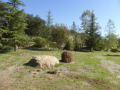 Enlarge photo 4