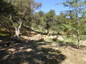 Enlarge photo 13