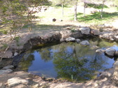 Enlarge photo 20