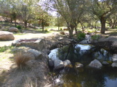 Enlarge photo 23