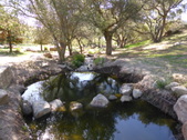 Enlarge photo 24
