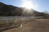 JMJ Ranch
