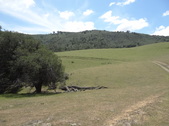 Rancho Temescal