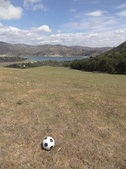 Enlarge photo 24