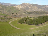 Enlarge photo 5