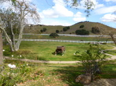 Enlarge photo 18