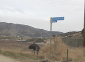 Enlarge photo 1