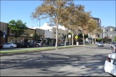 Enlarge photo 33