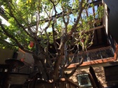 Enlarge photo 11
