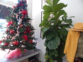 Enlarge photo 12