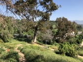 110 Freeway Tunnels Park Row