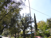 Enlarge photo 14