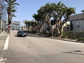 LAX at Vickburg and Century