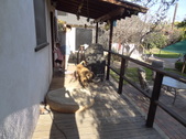 Enlarge photo 22