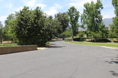 Alverno High School