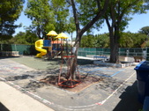 Enlarge photo 20