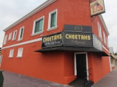 Cheetahs - Silverlake