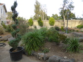 Enlarge photo 20