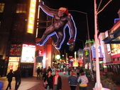 Enlarge photo 10