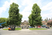 Enlarge photo 11