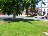Enlarge photo 19