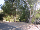 Enlarge photo 16