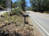 Enlarge photo 14