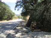Enlarge photo 18