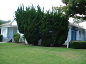 El Segundo Womens Center